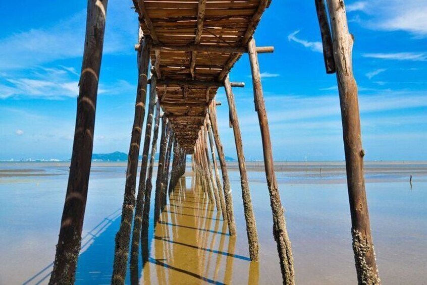 Vam Sat Mangrove Forest - VIP Private Tour from Ho Chi Minh City