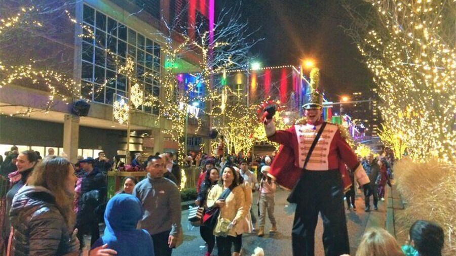 Christmas Lights and Snowflake Lane photo tour