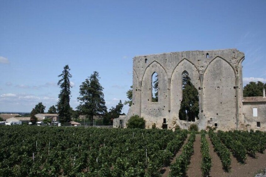 Saint-Émilion : Private Walking Tour & Magnificent Views