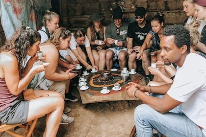 Half-Day Private Tour to Materuni Waterfalls and Coffee excursion