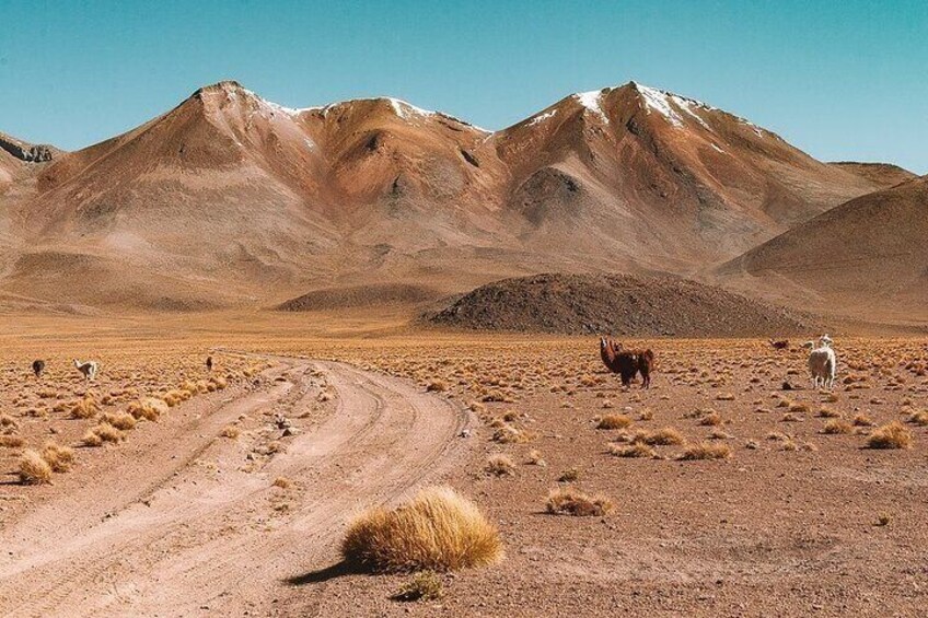 Salar de Uyuni Private Tour from La Paz to Atacama Chile by plane