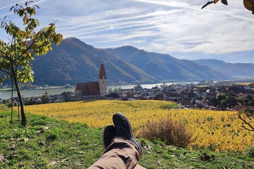 Private Wine Tour from Vienna to Wachau Valley with 3 Wine Tasting
