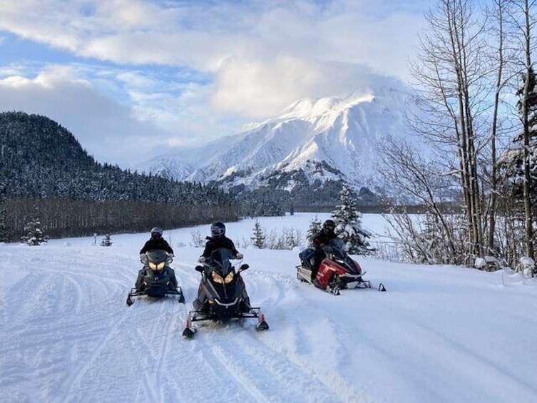 Snowmobile Classic Tour in Kenai Fjords National Park