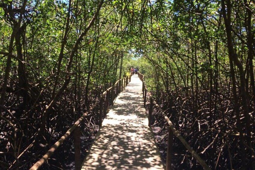 Trail to the Natives Beach