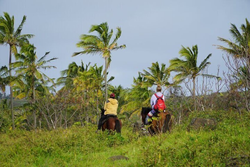 Archaeological horseback riding off the tourist routes in Rapa Nui