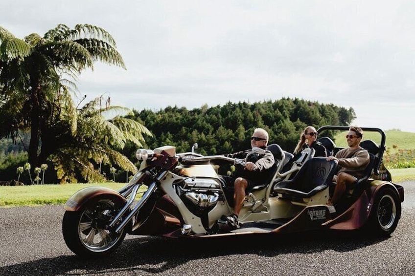 TAURANGA SHORE EXCURSION: V8 TRIKE - 1.5 hour City Sites