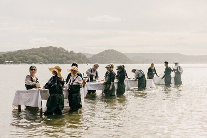 In Water Oyster Farm Tour and Dining, Sydney 