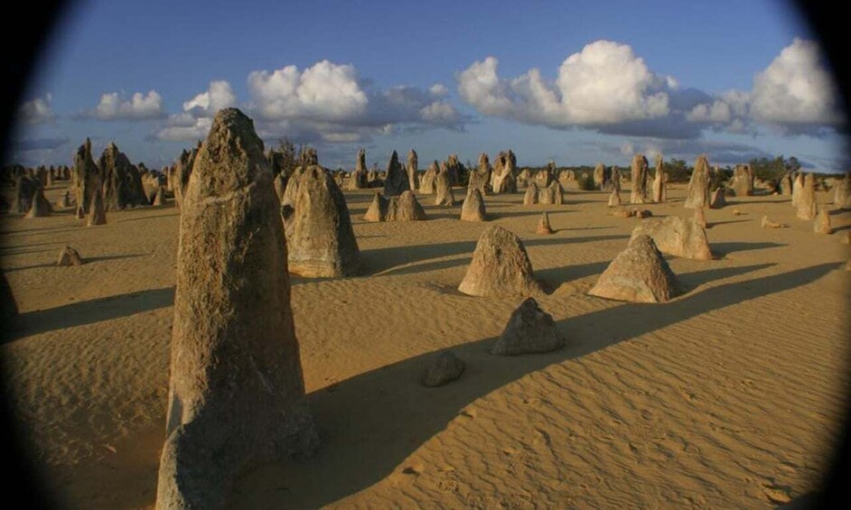 Picture 6 for Activity Perth: Pinnacles and Swan Valley Wine Day Tour with Lunch