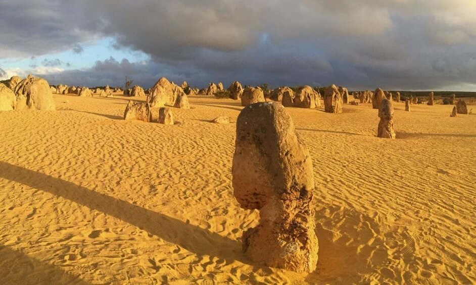 Picture 5 for Activity Perth: Pinnacles and Swan Valley Wine Day Tour with Lunch