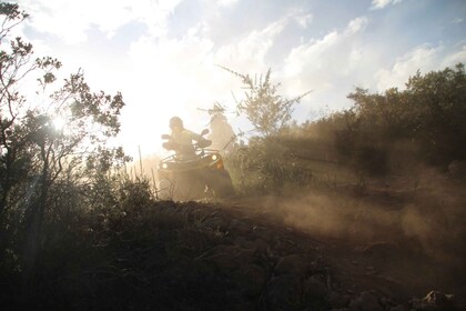 Tenerife: panoramische off-road quad-ervaring