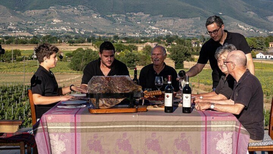 Tour to the Vineyard and Winery with Tasting in Montefalco