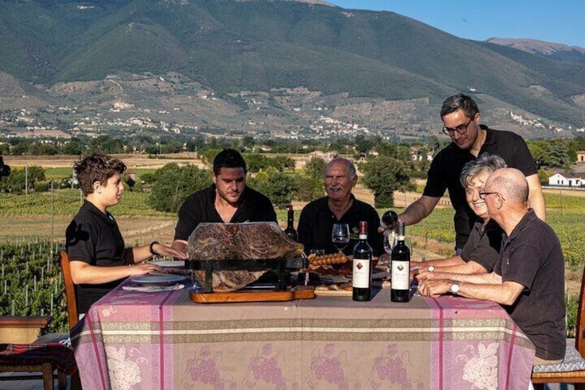 Tour to the Vineyard and Winery with Tasting in Montefalco