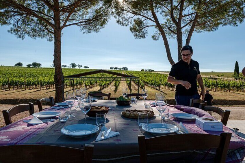 Tour to the Vineyard and Winery with Tasting in Montefalco