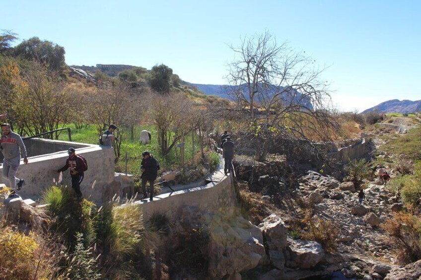 Full-Day Private Guided Tour to Jebel Akhdar 