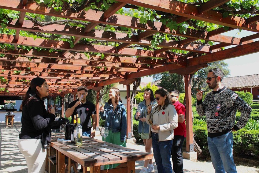Picture 1 for Activity Santa Rita Vineyard Tour with Lunch, an Unforgettable Day!