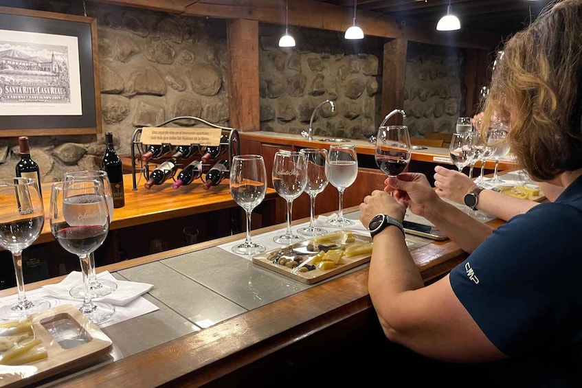 Picture 5 for Activity Santa Rita Vineyard Tour with Lunch, an Unforgettable Day!