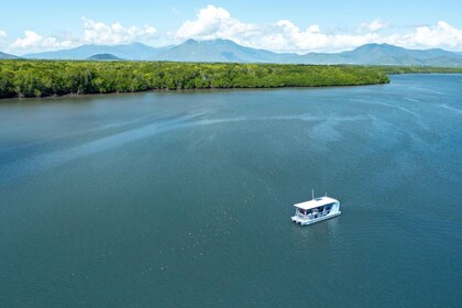 Entdecken Sie Cairns: Cairns River Cruise & City Sights Tour