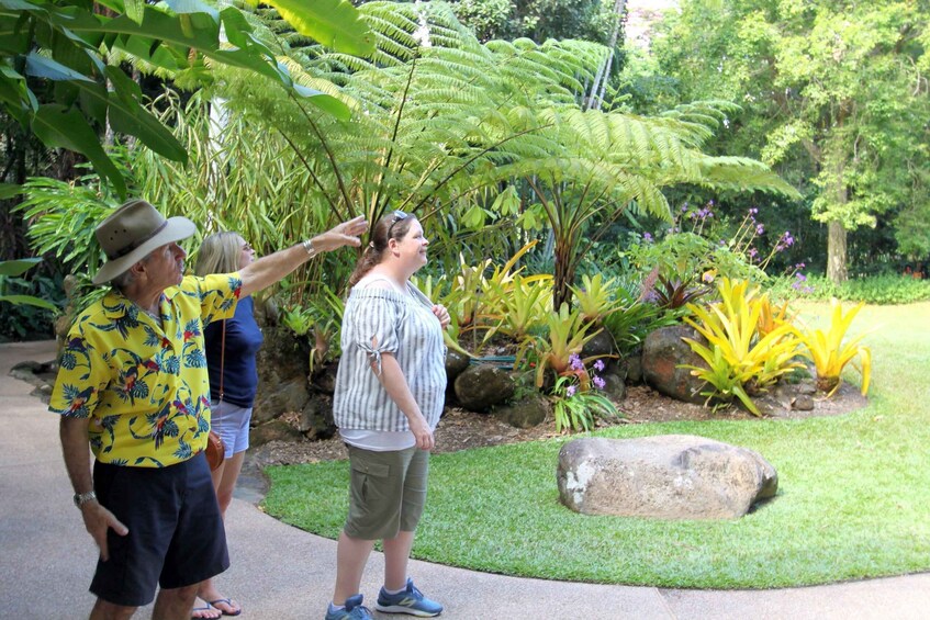 Picture 6 for Activity Discover Cairns: Cairns River Cruise & City Sights Tour