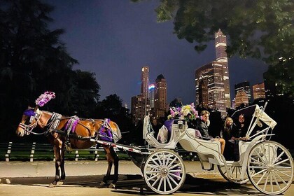 MOONLIGHT RIDE Central Park with Photo (45 min) ~ Skip the line