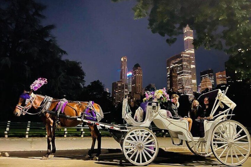 Magical Moonlight Ride in Central Park!