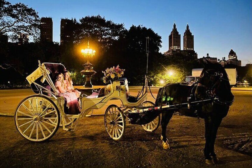 Moonlight Ride through Central Park with Photo Stops (55 min)