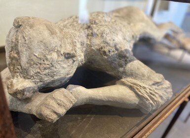 Pompeii: Guidet omvisning med arkeolog med maks. 12 personer