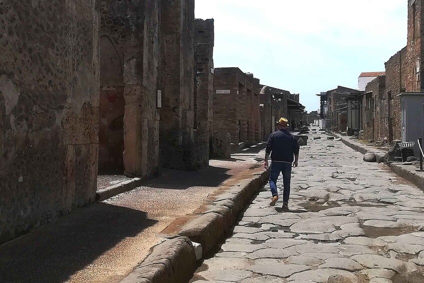 Picture 1 for Activity Pompeii: Guided Tour with Archaeologist with max. 12 People