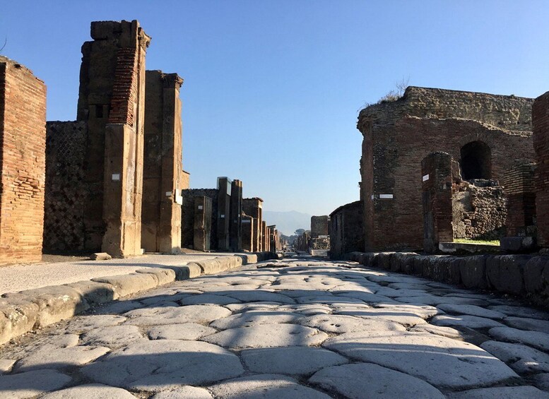 Picture 5 for Activity Pompeii: Guided Tour with Archaeologist with max. 12 People