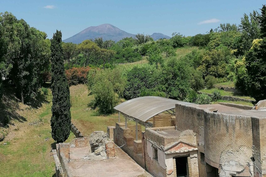 Picture 4 for Activity Pompeii: Guided Tour with Archaeologist with max. 12 People