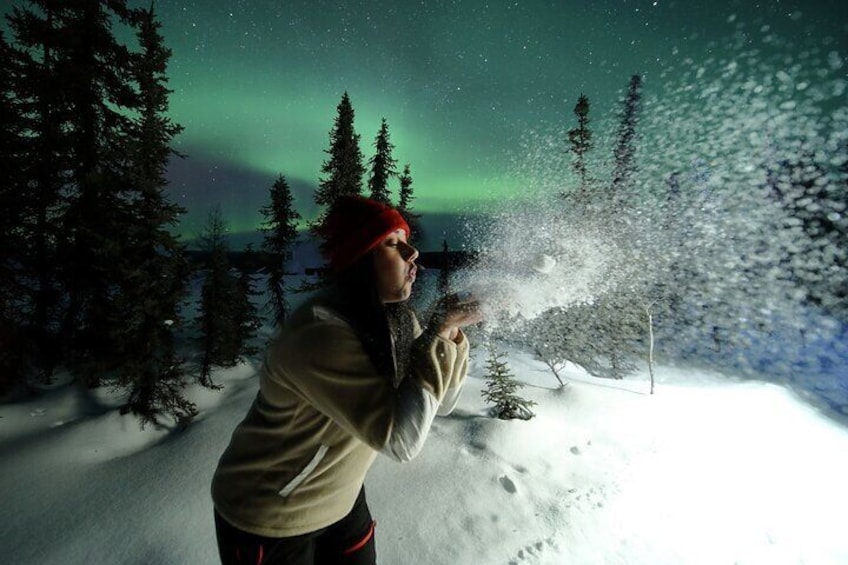 Aurora Borealis Adventure Tour with Photo Lessons/Portraits