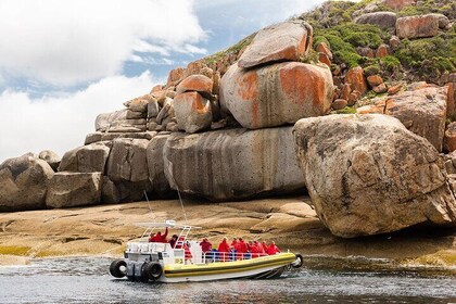 Private Group Activity in Victoria with Wilderness Cruise