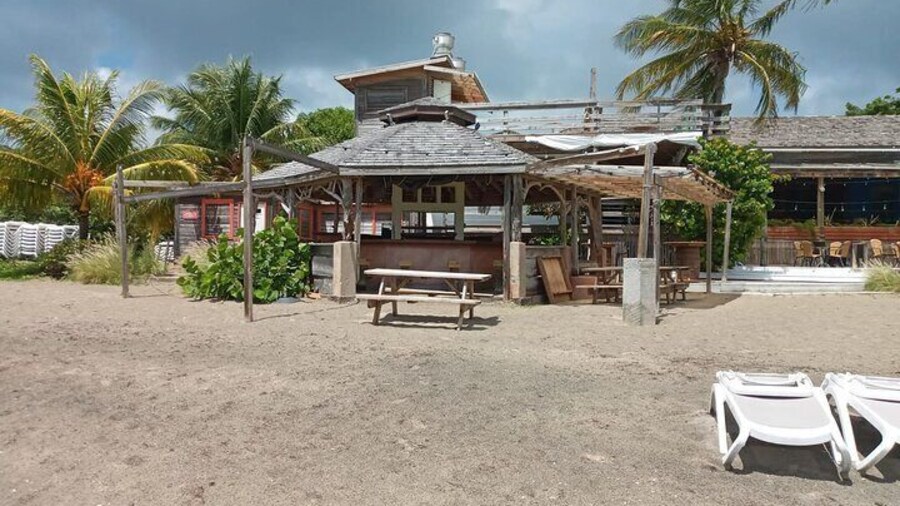 Cockle Shell Beach Guided Tour