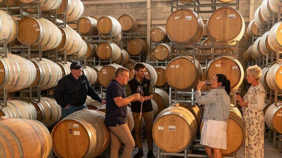 Barrel tasting session at Rymill Coonawarra