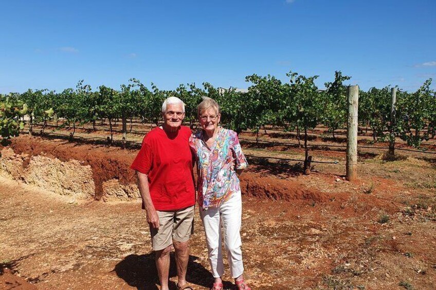 Up close and personal with our famous terra rossa soil