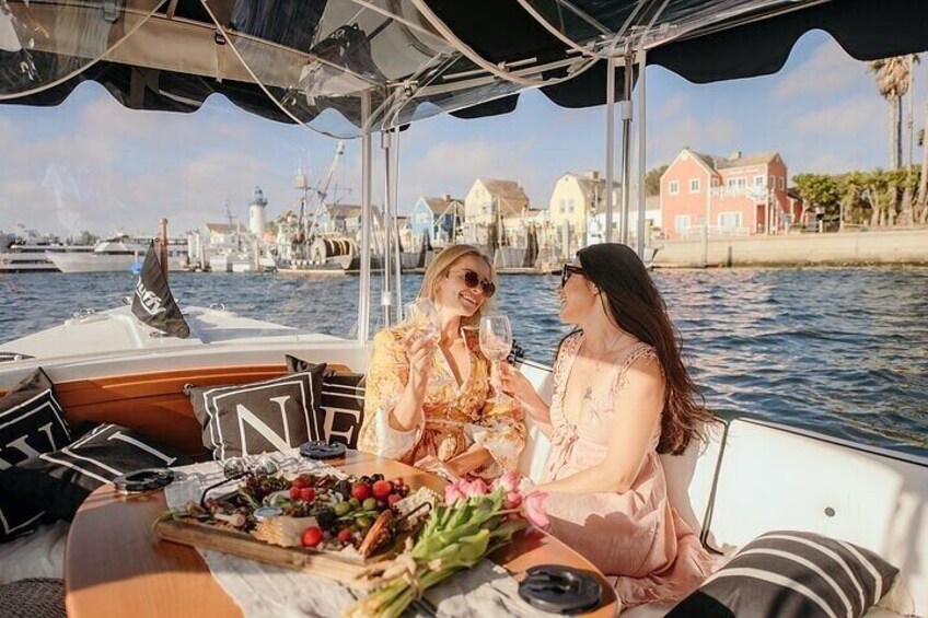 Private Luxury E-Boat Cruise with Wine, Charcuterie & Sea Lions Spotting