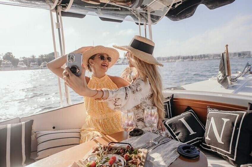 Private Luxury E-Boat Cruise with Wine, Charcuterie & Sea Lions Spotting