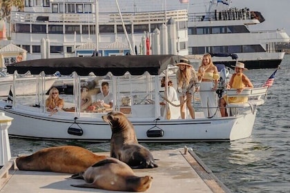 Private Luxury E-Boat Cruise with Wine, Charcuterie & Sea Lions Spotting