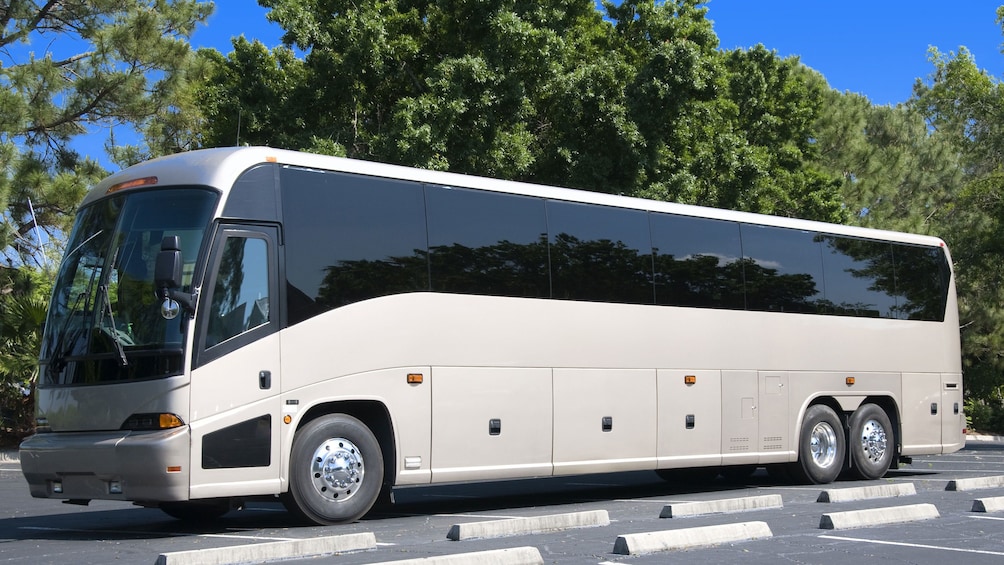 Show item 2 of 2. shared coach transportation