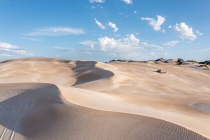 Coffin Bay National Park Half-day 4x4 Tour