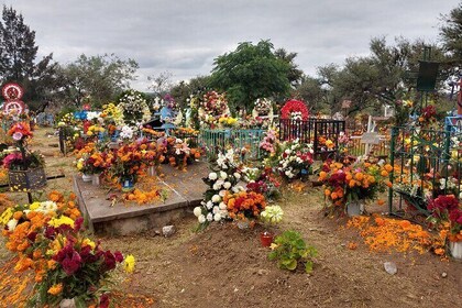 The authentic tour of the day of the dead in San Migue de Allende