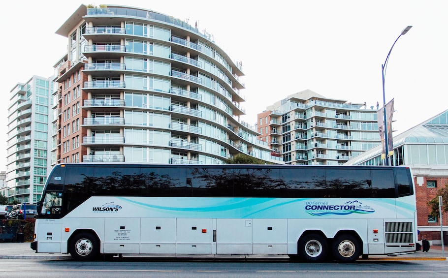 Shared Coach: Canada Place Cruise Ship Terminal - Downtown Victoria