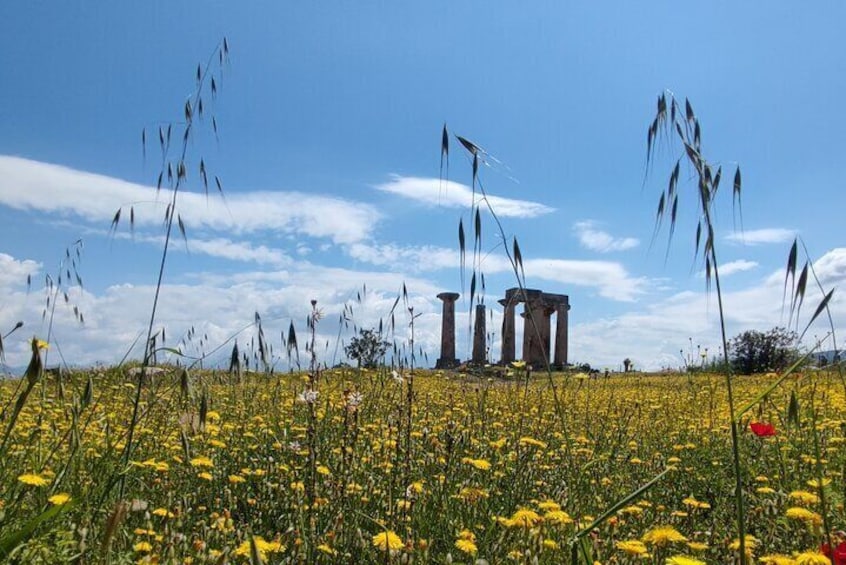 Ancient Roads Of Wine : Private Day Tour Corinth or Mycenae Nemea Wine Tasting 