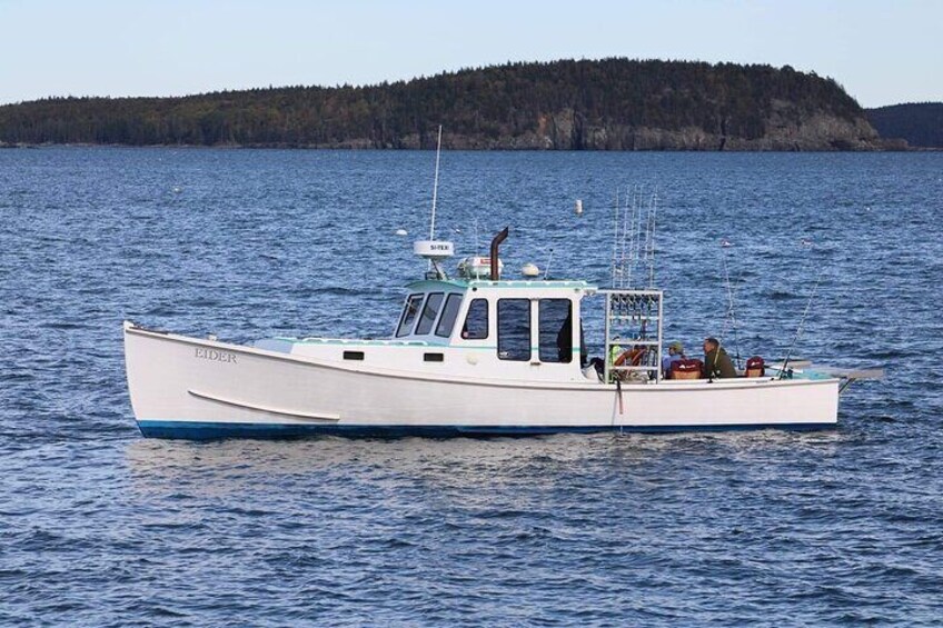 Private Fishing Charter in Frenchman Bay