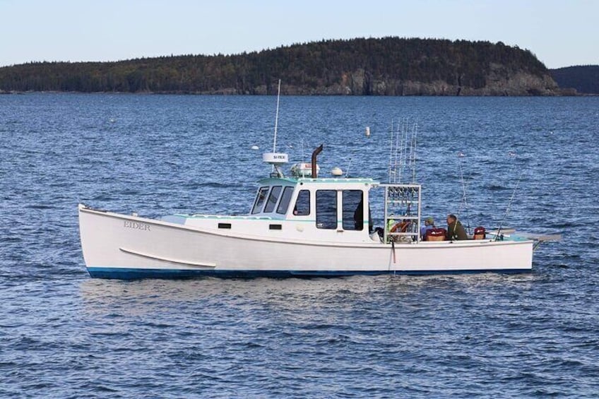 Private Fishing Charter in Frenchman Bay