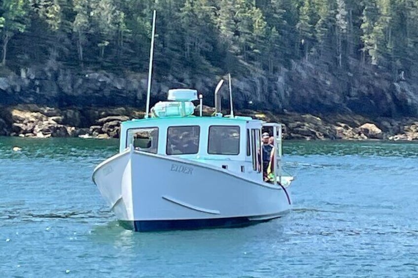 Private Fishing Charter in Frenchman Bay