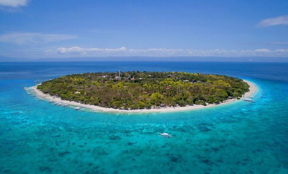 Affordable Panglao Island Hopping Tour - Balicasag & Virgin Islands