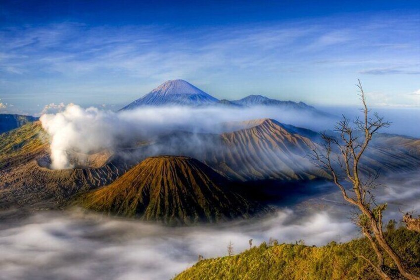 From Yogyakarta: Mount Bromo Sunrise and ijen crater Blue Fire - 3 Days 