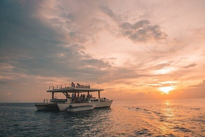 5H Snorkelling & Sunset Cruise on Utopia Catamaran