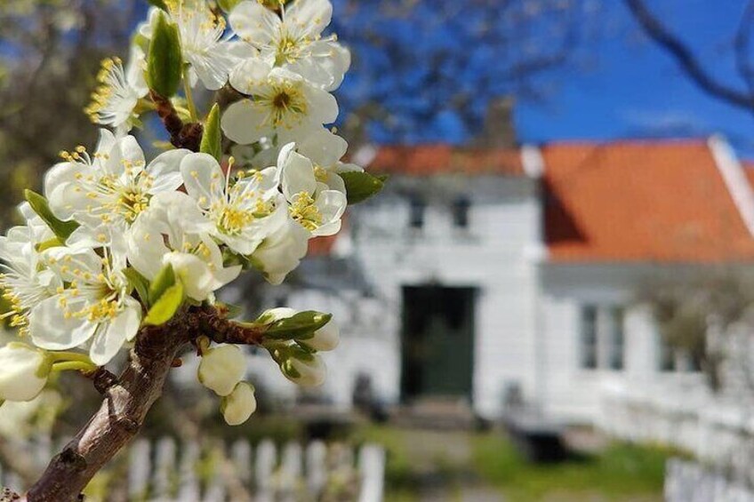 Skudeneshavn