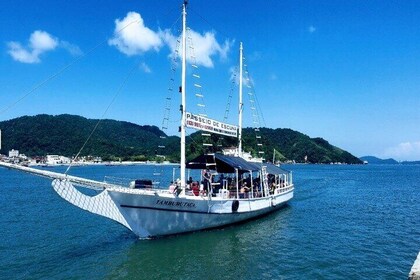 Full-Day Private Tour of Santos with Boat Tour and Viewpoints – Tickets Inc...